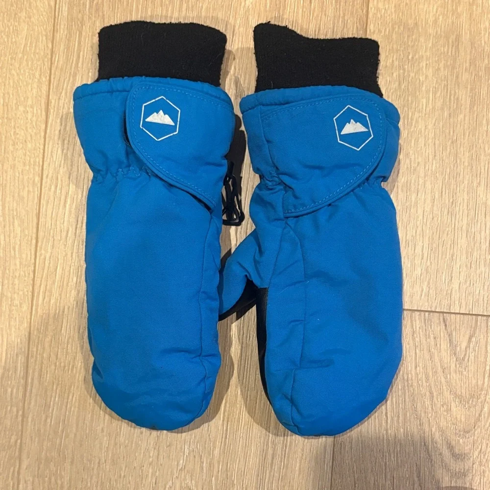 Blue Winter Mittens